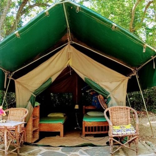 Forest Tent